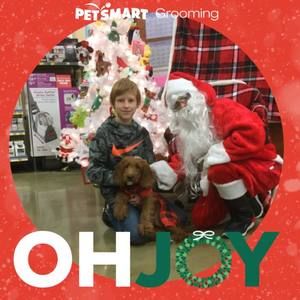 Meet your Posher, Tracy